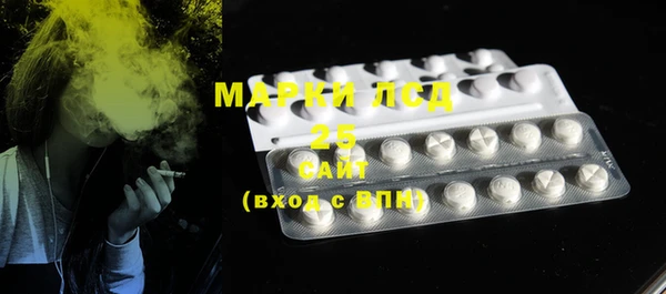 PSILOCYBIN Осинники
