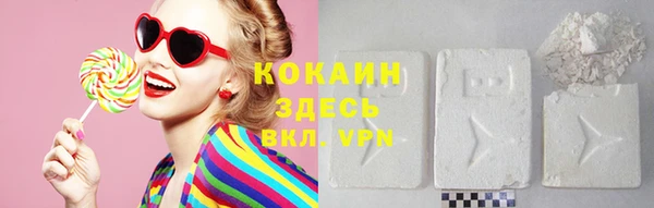 дмт Осташков