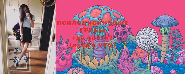 PSILOCYBIN Осинники