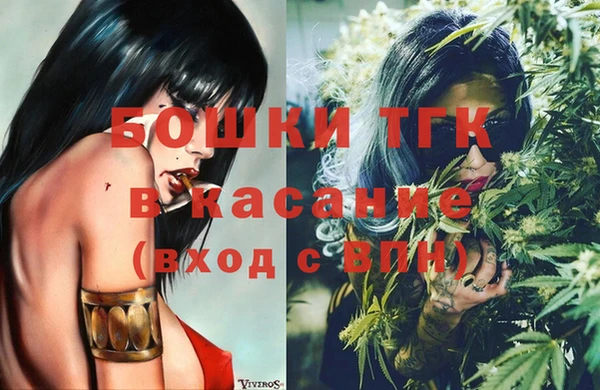 дмт Осташков