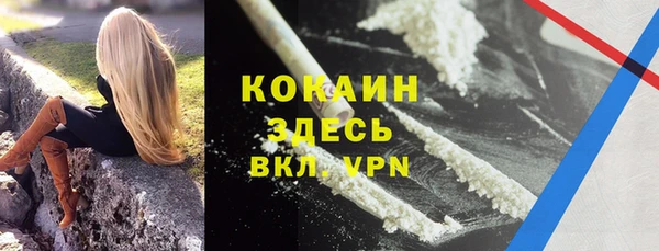 PSILOCYBIN Осинники