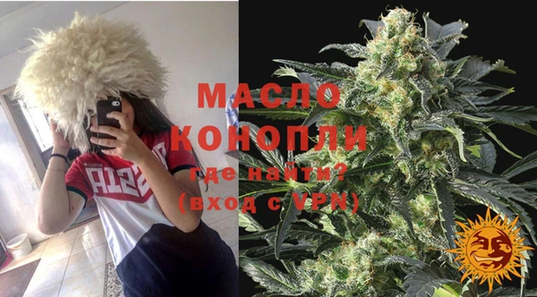 дмт Осташков