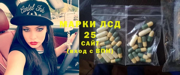 дмт Осташков