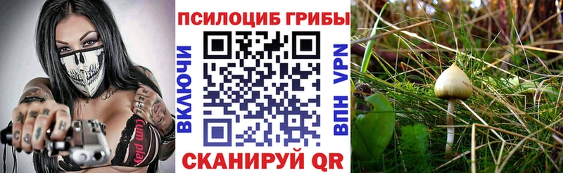 Галлюциногенные грибы Cubensis Юрюзань